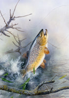 Leaping brown trout freshwater fish greeting card by M J Pledger