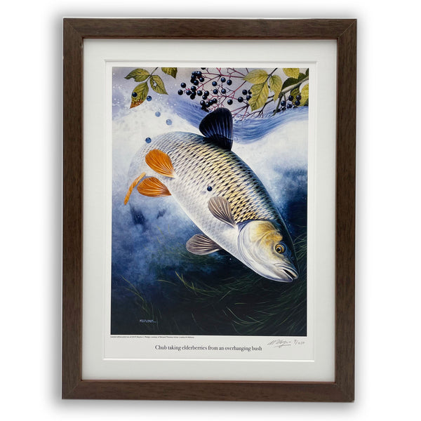 chub fishing print