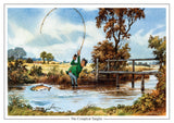 Cartoon Fishing Print. The Compleat Tangler by Thelwell