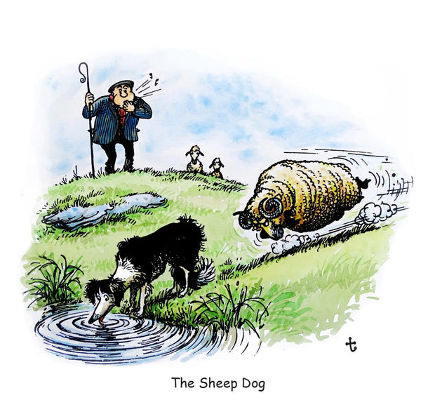 Collie Greeting Card. The Sheep Dog Dog by Norman Thelwell