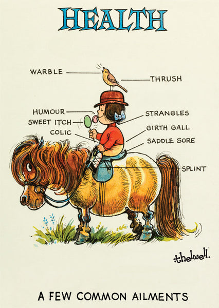 Horse or Pony Greeting Card "Pony Health" by Norman Thelwell