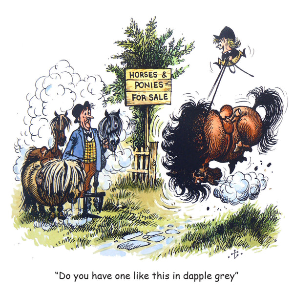 Horse or Pony Greeting Card "Dapple Grey" by Norman Thelwell