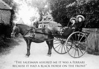 Horse and carriage driving greeting card. Vintage humour.