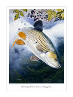 Chub fishing print by M J Pledger